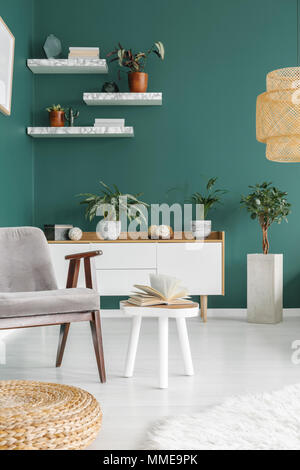 Livre ouvert posé sur une table en bois vert en fin de salon intérieur avec des plantes fraîches et des étagères en marbre Banque D'Images