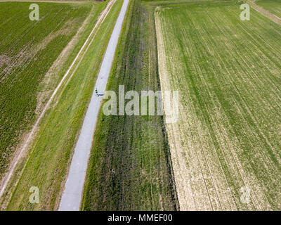 Running Man, vue du dessus, vue aérienne, gymnastique, sport, marathon. Les champs agricoles. Campagne Banque D'Images