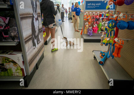 Animaux affluent à l'inauguration d'un magasin PetSmart dans le quartier Flatiron de New York le samedi 28 avril, 2018. PetSmart serait d'ouverture jusqu'à 60 nouveaux magasins en 2018, au grand dam de ses détenteurs d'obligations tenant à l'acquisition de PetSmart notes l'année dernière d'Chewy.com pour $3 milliards de dollars. PetSmart a ouvert plus de 100 magasins au cours des deux dernières années. (© Richard B. Levine) Banque D'Images