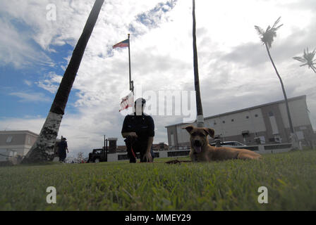 Maître de 1re classe Jana James joue avec son nouveau chien sauvé, Trooper, sur la pelouse du Secteur de San Juan, Porto Rico, le 28 octobre 2018. James, un réserviste de l'unité de la Sécurité maritime de Savannah, Géorgie, déployé à San Juan pour 60 jours à l'appui de l'Ouragan Maria réponse. U.S. Coast Guard photo de Maître de 2e classe Matthieu Masaschi. Banque D'Images