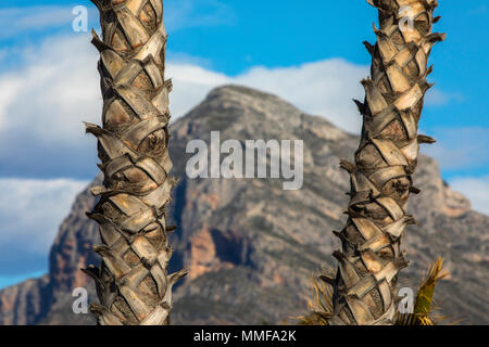 La magnifique montagne Montgo vue à travers les palmiers sur la plage Arenal de Javea, en Espagne. Il est également connu sous le nom de montagne de l'éléphant et Ma Montgo Banque D'Images
