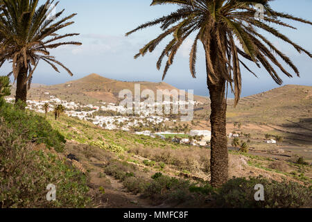 HARIA, Lanzarote, CANARY ISLANDS, Spain, EUROPE : vue sur la vallée de Haria, aussi appelée Vallée des mille palmiers. Banque D'Images