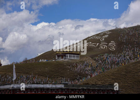 Des centaines de drapeaux de prière au-dessus de la Ser (Gergyo Ani Gompa) antiq, Prairies Tagong, Sichuan, Chine Banque D'Images