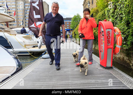 St Katherine Docks, Londres, 11 mai 2018. Et les chiens arrivent à bord, aussi ! Un couple prendre leurs deux bouledogues français pour voir les yachts. Maintenant à sa quatrième année et tenue à l'emblématique marina à côté du coeur de la ville de Londres et du Tower Bridge, Londres est une une un Boat Show et festival, où les yachts, bateaux, voitures et une foule d'autres entreprises peuvent être envisagées à la fois sur l'eau et sur terre. Il s'étend du 10 au 12 mai. Credit : Imageplotter News et Sports/Alamy Live News Banque D'Images