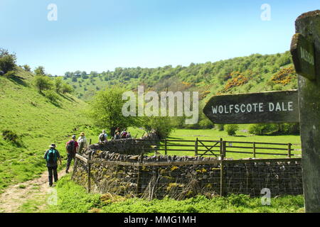 Les promeneurs sur sentier public à Biggin Dale, la position d'Wolfscote Hartinton Dale près de village, Peak District, Derbyshire, Nationhal Park England, UK Banque D'Images