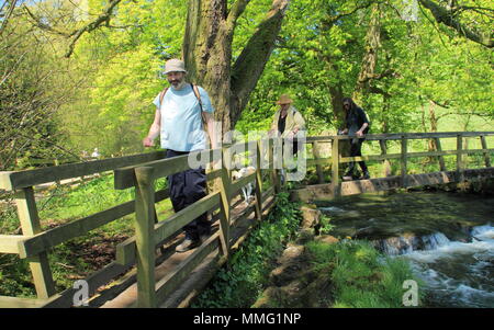 Les promeneurs sur un pont sur la rivière Dove à Beresford Dale près de Hartington, Peak District, Derbyshire Dales, England UK au milieu de printemps Banque D'Images