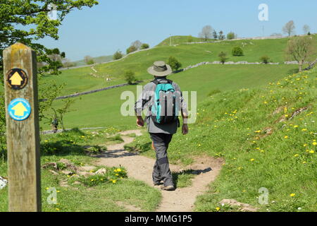 Walking Peak District. Walker sur le chemin approchant le village de Hartington du sud près de Pennilow, dans le parc national de Peak District, Derbyshire, Royaume-Uni Banque D'Images
