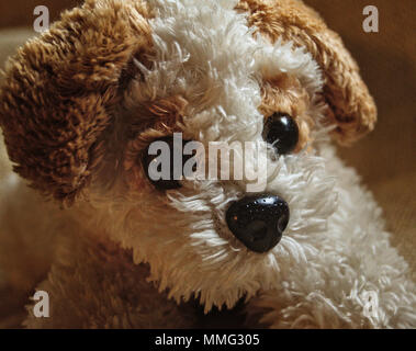 Petit Ours En Peluche Petit Chien Banque Dimages Photo