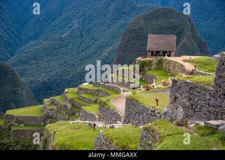 La route vers le Machu Picchu et de beaux paysages Banque D'Images