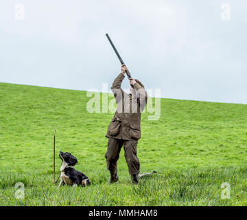 L'homme avec ses faisans de tir gundog Banque D'Images