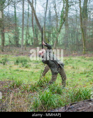 homme tirant des faisans d'oiseaux très hauts Banque D'Images