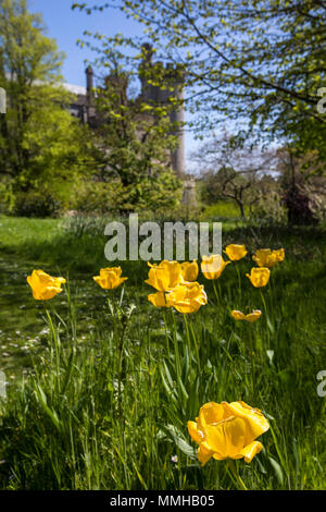 ARUNDEL, UK - 5 mai 2018 : les beaux jardins au Château d'Arundel dans le West Sussex, Royaume-Uni, le 5 mai 2018. Banque D'Images