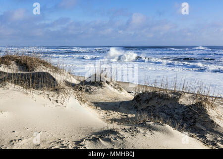 Des dunes et de la plage, Nags Head, Outer Banks, Caroline du Nord, USA. Banque D'Images