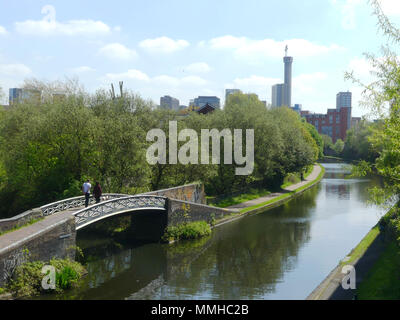 Canards dans les canaux de Birmingham Banque D'Images