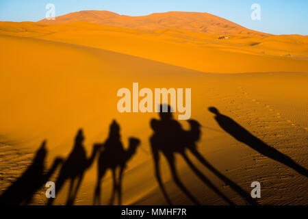 Prise de vue au grand angle de caravane de chameaux et de déplacement des ombres sur les dunes de sable au désert du Sahara Banque D'Images