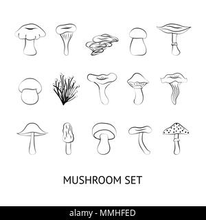 Différents types de champignons, isolé sur fond blanc Illustration de Vecteur