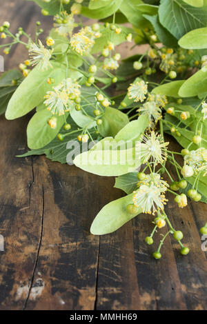 Fleurs de Tilleul sur un fond de bois rustique. Banque D'Images