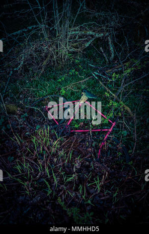 Cassé et rouillé, abandonné vélo rouge lying on grass Banque D'Images