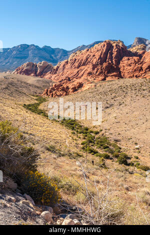 La végétation du désert bas de lignes vallée entre rock formations in Red Rock Canyon National Conservation Area en dehors de Las Vegas, Nevada Banque D'Images
