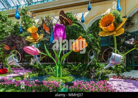 Fontaine de tulipes, jonquilles et arrosoirs à l'intérieur du Conservatory & Botanical Gardens du Bellagio sur le Strip de Las Vegas à Paradise, Nevada Banque D'Images