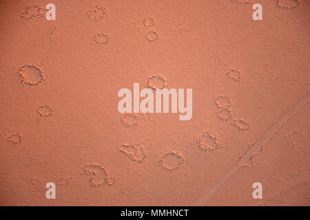 Vue aérienne de cercles de fées, des phénomènes naturels qui se produisent dans le désert du Namib, Namib-Naukluft National Park, région de Sossusvlei, Sesriem, Namibie Banque D'Images