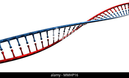 L'acide désoxyribonucléique, l'ADN est un thread comme chaîne de nucléotides portant les instructions génétiques de tous les organismes vivants connus. DNA helix Banque D'Images