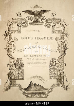 . Page de titre : l'Orchidaceae du Mexique et du Guatemala. Par : Bateman, Jas. (1811-1897), London:Ridgway,1837-43. . 1843. (Non signé) 31 Bateman l'Orchidaceae du Mexique et du Guatemala.- page de titre Banque D'Images