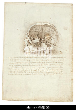 . Anglais : peinture anatomique de Léonard de Vinci - Scull Русский : Анатомический черепа разрезе рисунок в. Поперечное сечений черепа созданное Леонардо, Да Винчи, первым анатомии было в истории. . 1489. Leonardo da Vinci (1452-1519) Noms alternatifs Leonardo di ser Piero da Vinci, Leonardo Description peintre italien, ingénieur, astronome, mathématicien et philosophe, anatomiste Date de naissance/décès 15 Avril 1452 2 mai 1519 Lieu de naissance/décès Anchiano Clos Lucé période de travail, à partir de 1466 jusqu'à 1519 lieu de travail Florence (1466-1482), Milan (1483-1499), Paris (1499), Venise (15 Banque D'Images