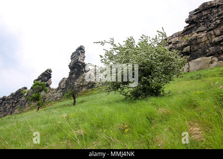 Weddersleben, Allemagne - 10 mai 2018 : vue sur le Mur du diable dans les montagnes du Harz, Allemagne. Le Mur du diable est en grès et a été construit en Banque D'Images