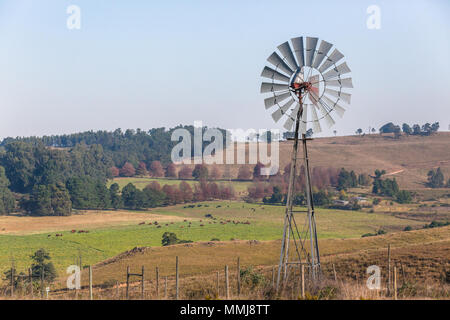 Le bétail de la ferme animaux boeuf moulin campagne Banque D'Images