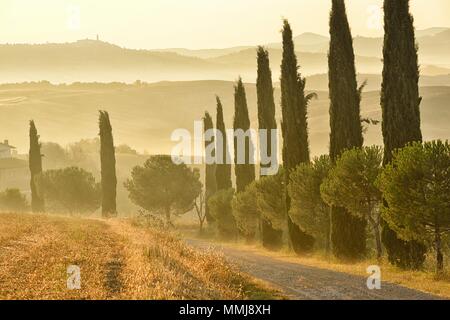 Paysage toscan au petit matin près de la ville de San Quirico d'Orcia, ville de Pienza à l'horizon, Province de Sienne, Toscane, Italie Banque D'Images