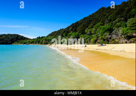 Longue plage de sable, parc national Abel Tasman, île du Sud, Nouvelle-Zélande Banque D'Images