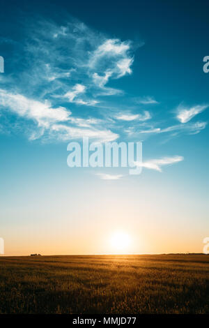 Coucher du soleil, le Lever du Soleil, Soleil à la campagne rurale pré. Bleu Vif et Jaune, Orange Ciel et Terre sombre. Copyspace Banque D'Images