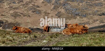 Highlands écossais, sauvages et accidentées Banque D'Images