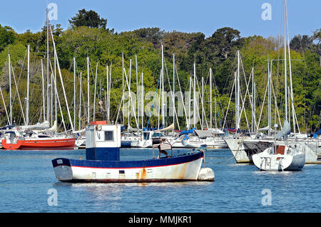 Bateau de pêche dans le port de Bénodet, avec des arbres en arrière-plan. Bénodet est une commune française, située dans le département de nord-ouest de la Franc Banque D'Images