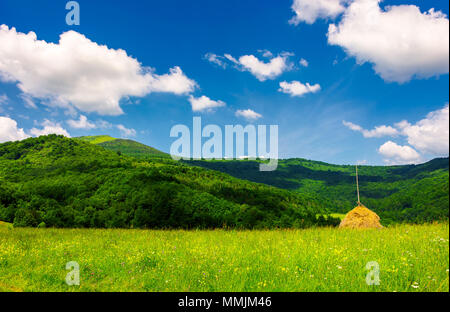 Botte sur l'herbe des pâturages dans les montagnes. beaux paysages d'été sur un beau temps Jour Banque D'Images