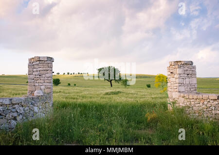 Paysage de campagne des Pouilles dans le printemps. L'Italie. Banque D'Images