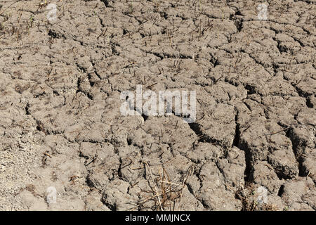 Texture de fond de la terre craquelée. Abstract background texture pour Bad ecology concept Banque D'Images