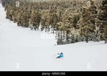 Descente en SKI Homme Banque D'Images