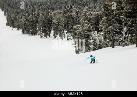 Descente en SKI Homme Banque D'Images