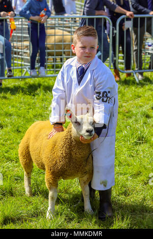 L'Ayrshire, UK. 12 mai 2018. Par une chaude journée ensoleillée et peut, le comté d'Ayr annuel Show qui a eu lieu à l'hippodrome d'Ayr a attiré des centaines de participants au concours agricole et aussi des milliers de spectateurs. Ainsi que l'habituel concours de bovins, de moutons et de la volaille, il y avait des prix pour les gagnants de l'homme et la femme 'Jeunes Agriculteurs remorqueur de la guerre" et pour le meilleur crédit : camion décoré Findlay/Alamy Live News Banque D'Images