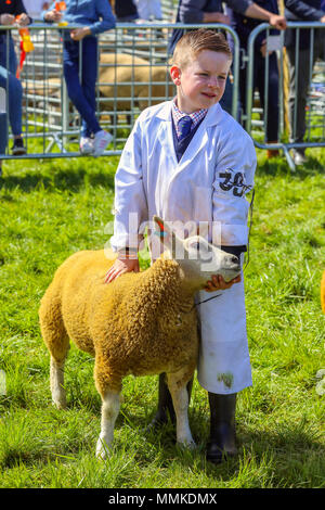 L'Ayrshire, UK. 12 mai 2018. Par une chaude journée ensoleillée et peut, le comté d'Ayr annuel Show qui a eu lieu à l'hippodrome d'Ayr a attiré des centaines de participants au concours agricole et aussi des milliers de spectateurs. Ainsi que l'habituel concours de bovins, de moutons et de la volaille, il y avait des prix pour les gagnants de l'homme et la femme 'Jeunes Agriculteurs remorqueur de la guerre" et pour le meilleur crédit : camion décoré Findlay/Alamy Live News Banque D'Images