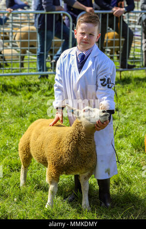 L'Ayrshire, UK. 12 mai 2018. Par une chaude journée ensoleillée et peut, le comté d'Ayr annuel Show qui a eu lieu à l'hippodrome d'Ayr a attiré des centaines de participants au concours agricole et aussi des milliers de spectateurs. Ainsi que l'habituel concours de bovins, de moutons et de la volaille, il y avait des prix pour les gagnants de l'homme et la femme 'Jeunes Agriculteurs remorqueur de la guerre" et pour le meilleur crédit : camion décoré Findlay/Alamy Live News Banque D'Images