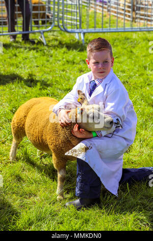 L'Ayrshire, UK. 12 mai 2018. Par une chaude journée ensoleillée et peut, le comté d'Ayr annuel Show qui a eu lieu à l'hippodrome d'Ayr a attiré des centaines de participants au concours agricole et aussi des milliers de spectateurs. Ainsi que l'habituel concours de bovins, de moutons et de la volaille, il y avait des prix pour les gagnants de l'homme et la femme 'Jeunes Agriculteurs remorqueur de la guerre" et pour le meilleur crédit : camion décoré Findlay/Alamy Live News Banque D'Images