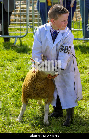 L'Ayrshire, UK. 12 mai 2018. Par une chaude journée ensoleillée et peut, le comté d'Ayr annuel Show qui a eu lieu à l'hippodrome d'Ayr a attiré des centaines de participants au concours agricole et aussi des milliers de spectateurs. Ainsi que l'habituel concours de bovins, de moutons et de la volaille, il y avait des prix pour les gagnants de l'homme et la femme 'Jeunes Agriculteurs remorqueur de la guerre" et pour le meilleur crédit : camion décoré Findlay/Alamy Live News Banque D'Images