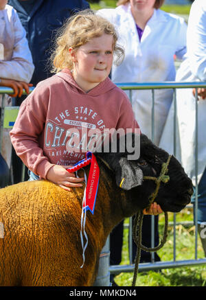 L'Ayrshire, UK. 12 mai 2018. Par une chaude journée ensoleillée et peut, le comté d'Ayr annuel Show qui a eu lieu à l'hippodrome d'Ayr a attiré des centaines de participants au concours agricole et aussi des milliers de spectateurs. Ainsi que l'habituel concours de bovins, de moutons et de la volaille, il y avait des prix pour les gagnants de l'homme et la femme 'Jeunes Agriculteurs remorqueur de la guerre" et pour le meilleur crédit : camion décoré Findlay/Alamy Live News Banque D'Images