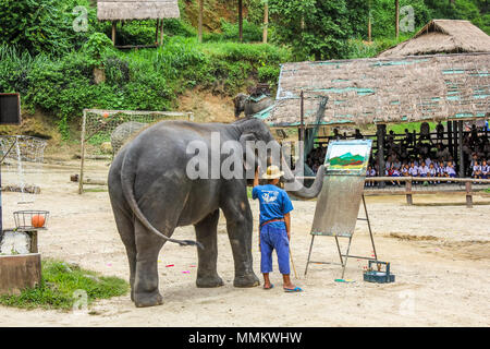 Le district de Muang, Chiang Mai, Thaïlande - 25 juillet 2011 : un dessin Elaphant peinture fleurs. Elephant Show at Maesa Elephant Camp. Banque D'Images