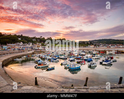 Le port historique à Lyme Regis, dans le Dorset, Angleterre, un soir d'été. Banque D'Images