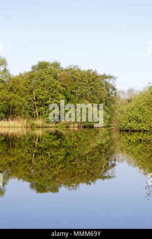 Une vue de la rivière Bure encore sur un matin de printemps sur les Norfolk Broads en amont de Wroxham, Norfolk, Angleterre, Royaume-Uni, Europe. Banque D'Images