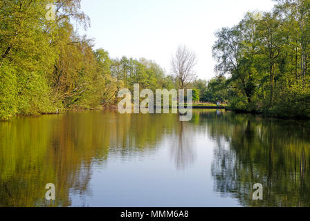 Une vue de la rivière Bure encore sur un matin de printemps sur les Norfolk Broads en amont de Wroxham, Norfolk, Angleterre, Royaume-Uni, Europe. Banque D'Images